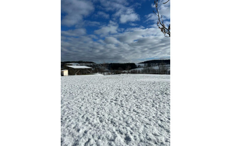 Travaux jour 3, encore de la neige mais..., jour 4, Toujours au travail et d'autres bénévoles